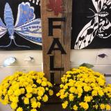 Image: Fall sign with mums