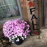 Image: Fall sign
